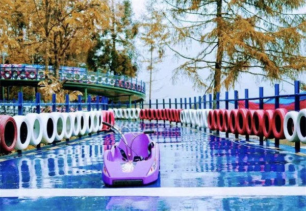 山地滑車(chē)廠家